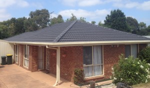 Cement tile roof Restoration and repairs in Pearcedale