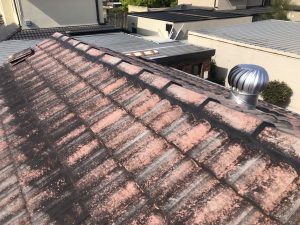 Cement Roof restored by The Roof Reviver in Langwarrin